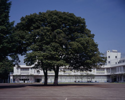 慶應義塾大学幼稚舎